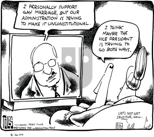 Tom Toles on Thursday August 26, 2004 Comic Strip