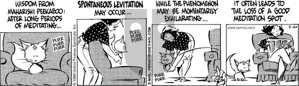 Rose is Rose on Thursday May 20, 1999 Comic Strip