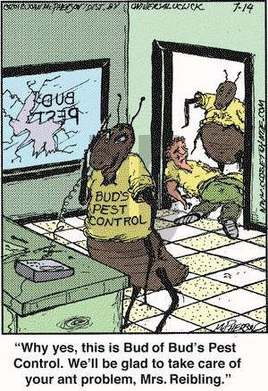 Close to Home on Saturday July 14, 2012 Comic Strip
