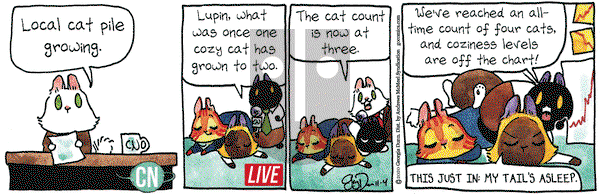 Breaking Cat News on Wednesday November 4, 2020 Comic Strip