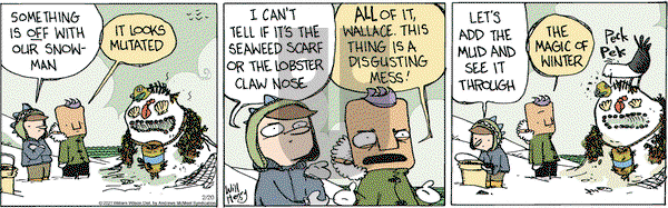 Wallace the Brave on Saturday February 20, 2021 Comic Strip