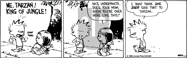 Calvin and Hobbes - Saturday August 4, 1990 Comic Strip