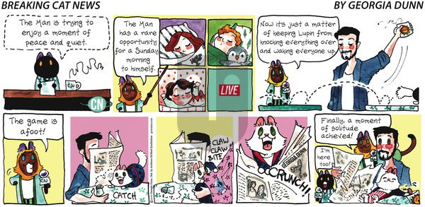 Breaking Cat News on Sunday September 15, 2019 Comic Strip