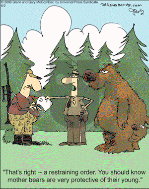 The Flying McCoys on Tuesday June 2, 2009 Comic Strip