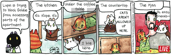 Breaking Cat News on Tuesday January 14, 2020 Comic Strip