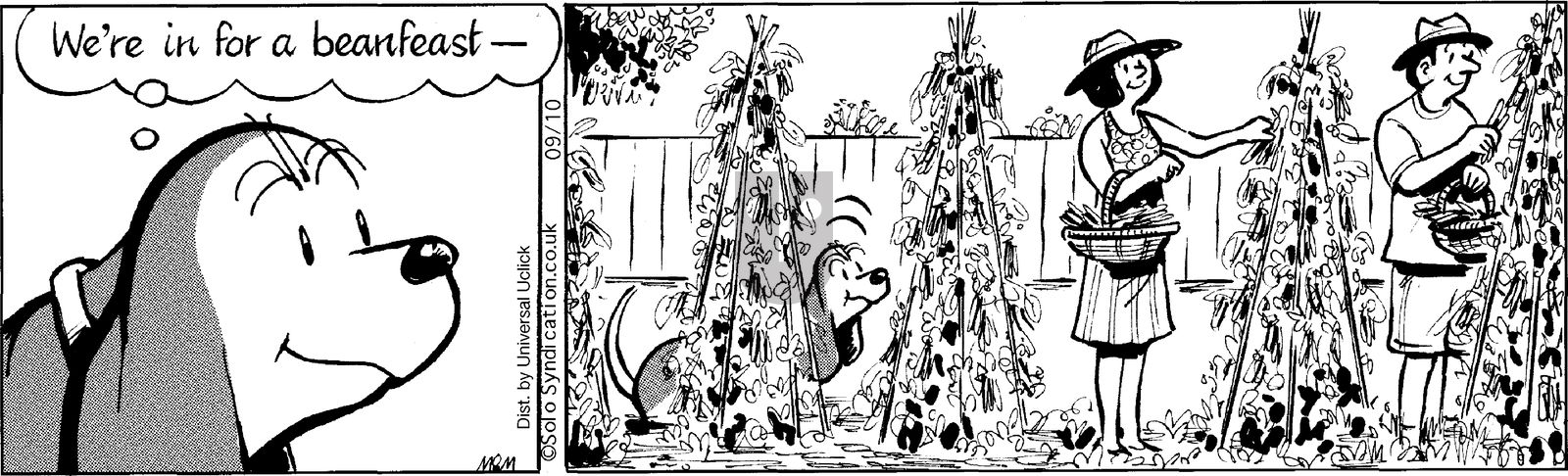 Fred Basset on Wednesday September 10, 2014 Comic Strip