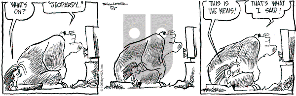 The Grizzwells on Wednesday May 5, 1999 Comic Strip