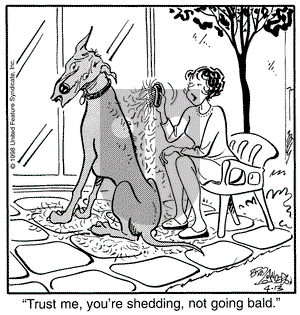 Marmaduke on Monday April 13, 1998 Comic Strip