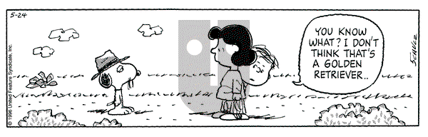 Peanuts on Friday May 24, 1996 Comic Strip
