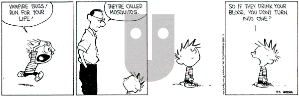 Calvin and Hobbes on Friday August 4, 1995 Comic Strip
