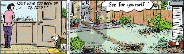 Fred Basset on Monday August 9, 2021 Comic Strip