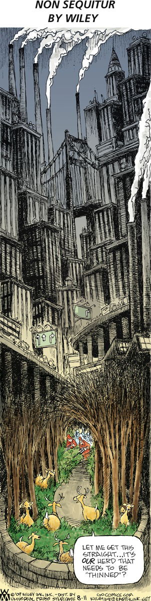 Non Sequitur on Sunday August 11, 2013 Comic Strip