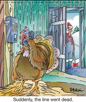 Cornered on Thursday December 19, 2024 Comic Strip