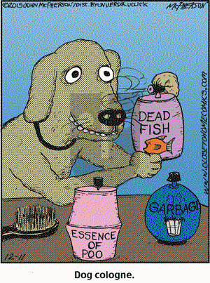 Close to Home on Friday December 11, 2015 Comic Strip