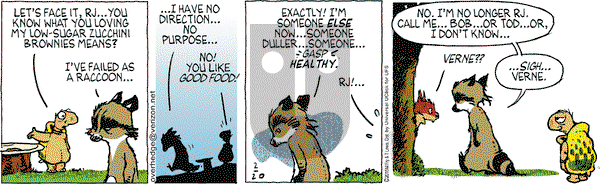 Over the Hedge on Friday February 20, 2015 Comic Strip