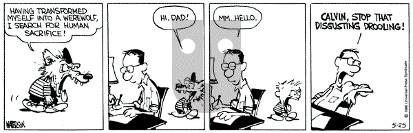 Calvin and Hobbes on Saturday May 25, 1991 Comic Strip