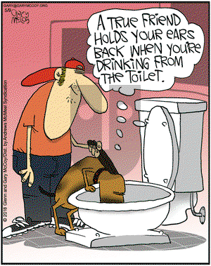 The Flying McCoys on Wednesday May 9, 2018 Comic Strip