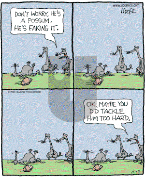 In the Bleachers - Friday November 19, 2004 Comic Strip