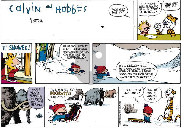 Calvin and Hobbes on Sunday December 10, 1989 Comic Strip