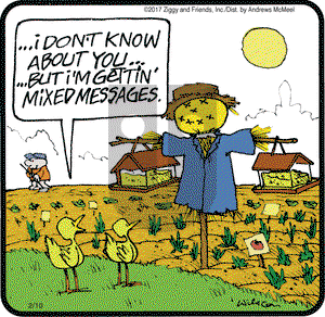 Ziggy on Friday February 10, 2017 Comic Strip