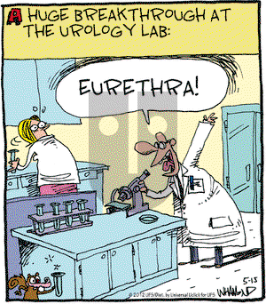 Reality Check - Tuesday May 15, 2012 Comic Strip