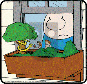 Ziggy on Friday May 27, 2016 Comic Strip