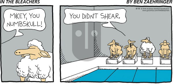 In the Bleachers on Sunday August 18, 2019 Comic Strip