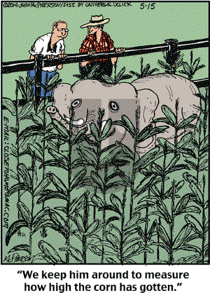 Close to Home on Thursday May 15, 2014 Comic Strip