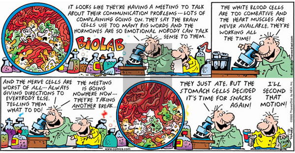 Frank and Ernest on Sunday January 16, 2005 Comic Strip