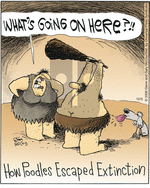 The Flying McCoys on Tuesday December 3, 2013 Comic Strip