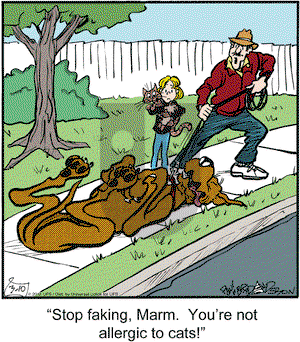 Marmaduke on Saturday March 10, 2012 Comic Strip