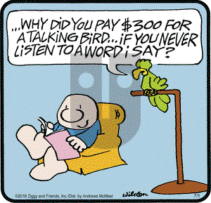 Ziggy on Monday July 1, 2019 Comic Strip