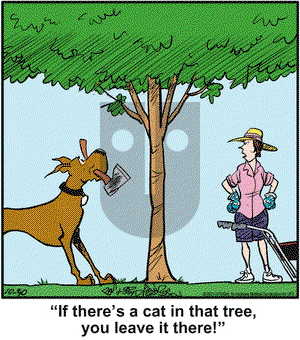 Marmaduke on Saturday October 30, 2021 Comic Strip