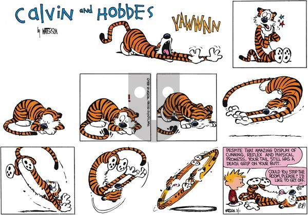 Calvin and Hobbes on Sunday April 10, 1988 Comic Strip