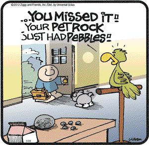 Ziggy on Wednesday March 28, 2012 Comic Strip
