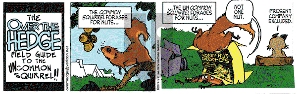 Over the Hedge on Wednesday January 17, 2007 Comic Strip