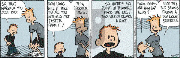 Frazz - Friday May 29, 2009 Comic Strip