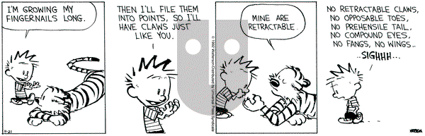 Calvin and Hobbes on Saturday November 21, 1992 Comic Strip