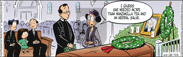 Baldo on Thursday June 6, 2019 Comic Strip