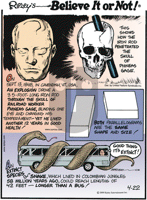 Ripley's Believe It or Not on Wednesday April 22, 2009 Comic Strip