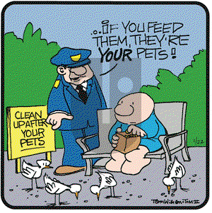 Ziggy on Saturday January 22, 2005 Comic Strip