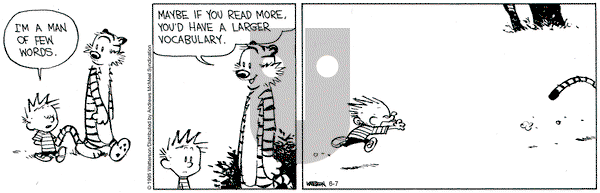 Calvin and Hobbes on Saturday June 7, 2025 Comic Strip