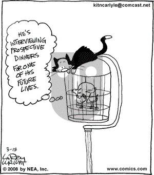 Kit 'N' Carlyle on Tuesday March 18, 2008 Comic Strip