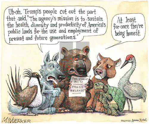 Matt Wuerker on Friday May 17, 2019 Comic Strip