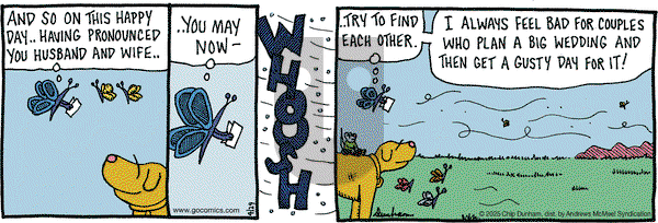 Overboard on Tuesday April 29, 2025 Comic Strip