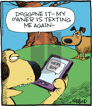 Reality Check on Wednesday November 19, 2014 Comic Strip