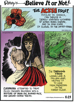 Ripley's Believe It or Not on Monday June 23, 2014 Comic Strip