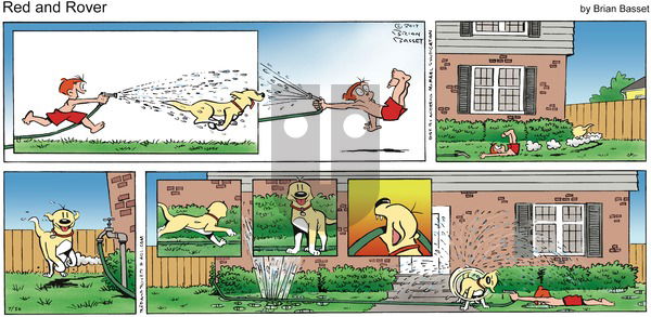 Red and Rover on Sunday July 30, 2017 Comic Strip