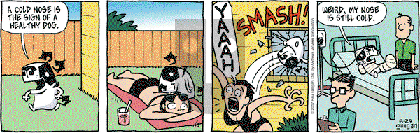 Pooch Cafe on Thursday June 29, 2017 Comic Strip