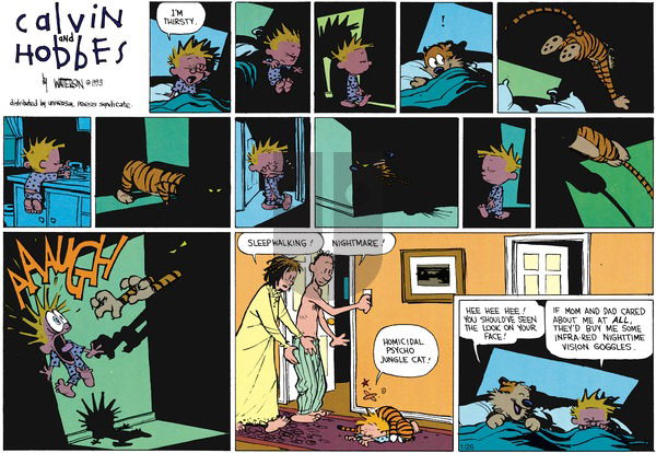Calvin and Hobbes on Sunday March 21, 1993 Comic Strip